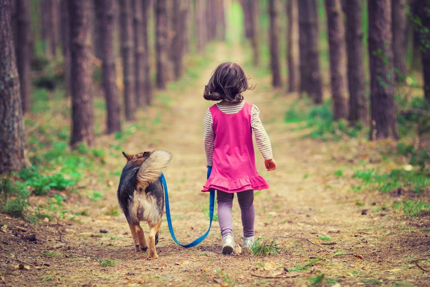 Why Does My Dog Follow Me Everywhere? FAQs Dogs Guide Omlet US