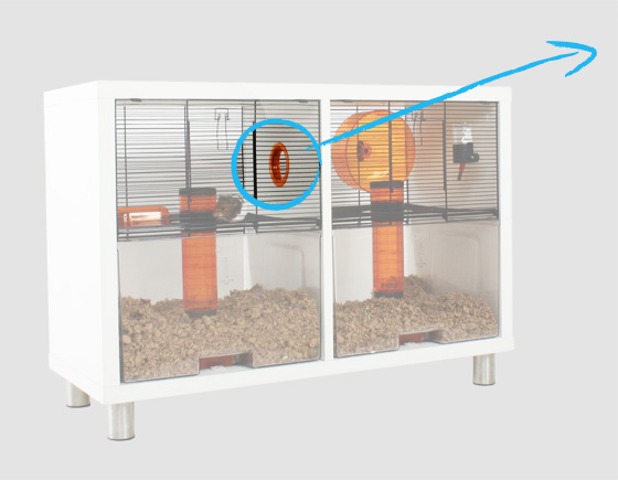 What Can I Use For Temporary Hamster Bedding What Can I Use For Temporary Hamster Bedding