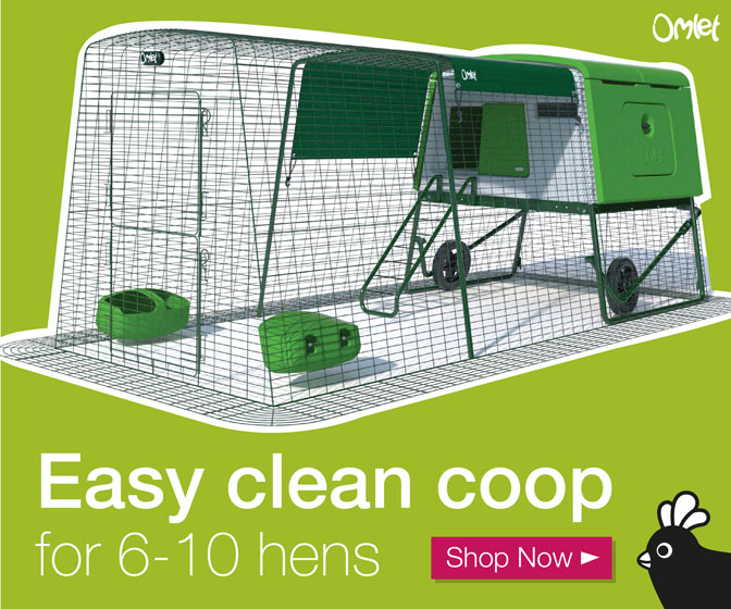 Easy clean coop for 6-10 hens
