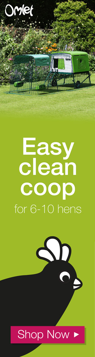 Easy clean coop for 6-10 hens