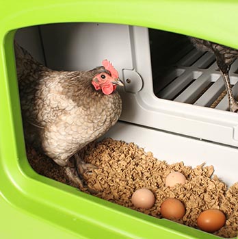 Collecting Eggs using the Eggport