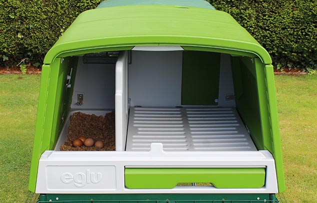 L'intérieur spacieux du poulailler Eglu Cube avec son nichoir et pondoir pouvant accueillir jusqu'à 10 poules