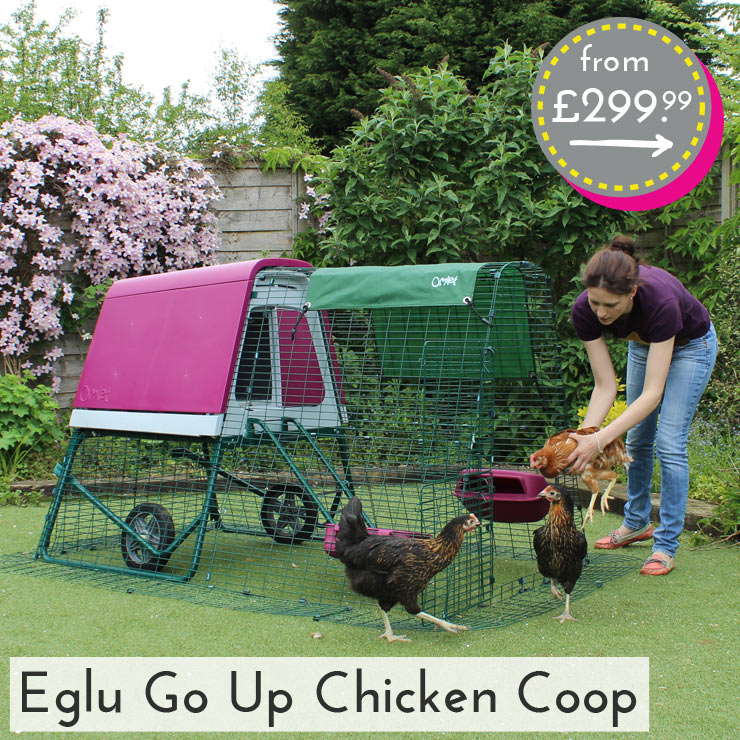 Chicken Coops Chicken Houses Hamster Houses Rabbit 