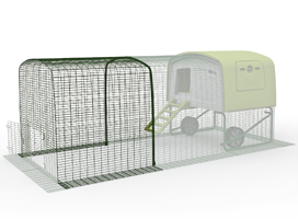 Give your chickens even more space.