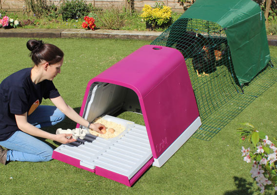 The Omlet Eglu Go Chicken Coop is a perfect choice if you are just beginning to keep chickens