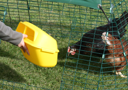 Change the position of the door on your chicken run easily