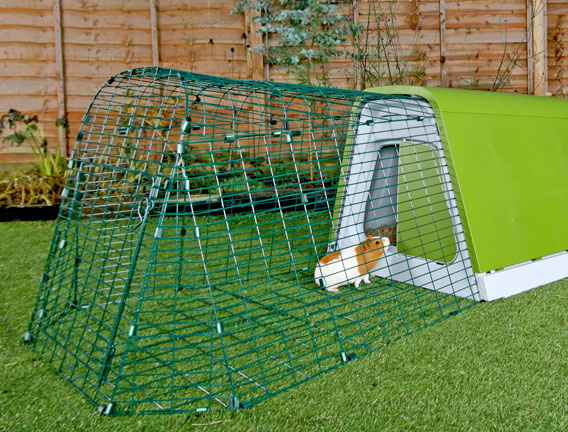 omlet guinea pig cage