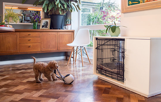 Fido Nook looks stylish in a modern interior