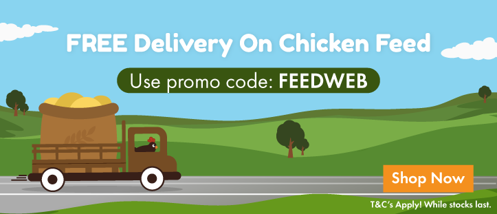 Free Delivery Banner