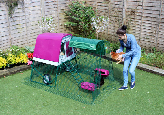 The Eglu Go UP is suitable for most gardens