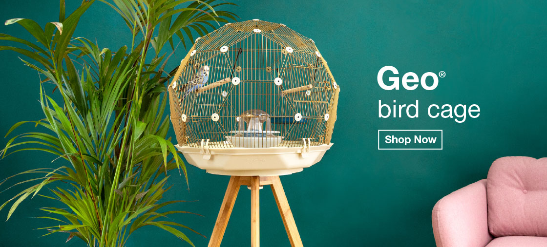 New Geo Background Colour