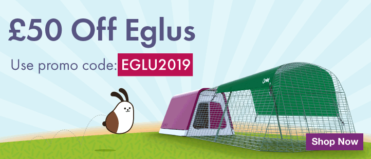 January Eglu Promotion