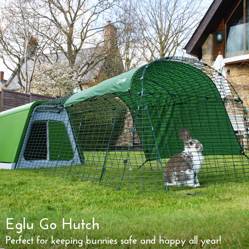 Chicken Coops Chicken Houses Hamster Houses Rabbit Hutches 