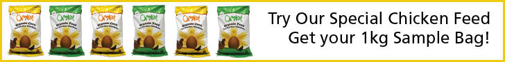 Organic Chicken Feed