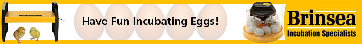 All you Need for Hatching Chicks...