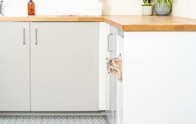 cat looking out from a cat litter box under a work surface