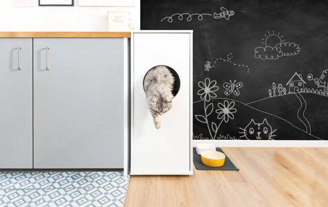 cat jumping out of the maya cat litter box jump in with storage