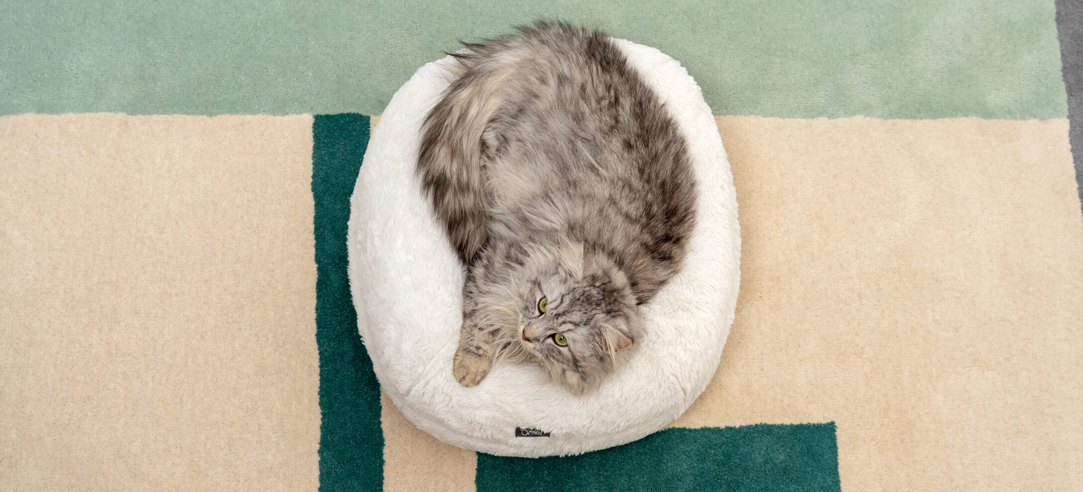 A fluffy grey cat resting on a donut cat bed