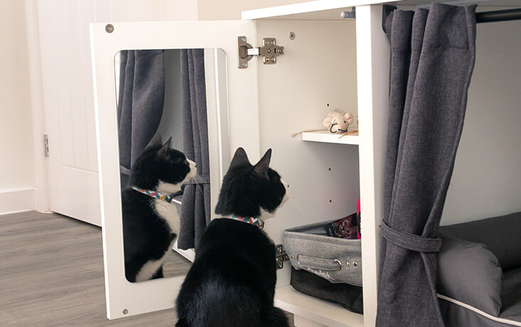 Cat wardrobe best sale