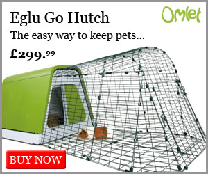 Eglu Go Hutch for Guinea Pigs