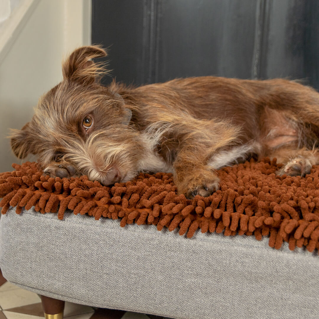 Topology Microfibre Topper Brown Small Omlet