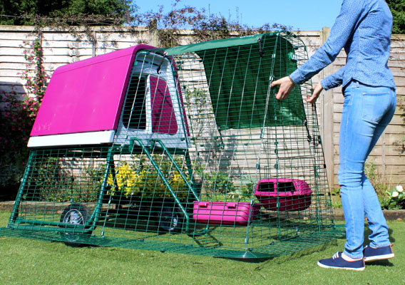 Moving the Eglu Go UP chicken house and run using the optional wheels.