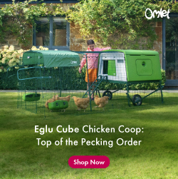 Omlet Eglu Cube Chicken Coop