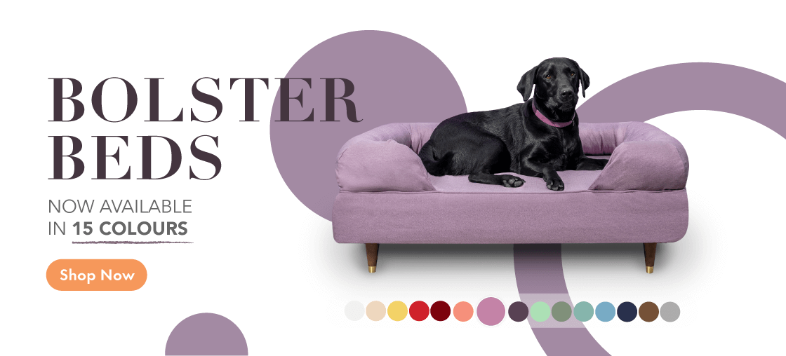 Beautifully Designed Pet Housing by Omlet