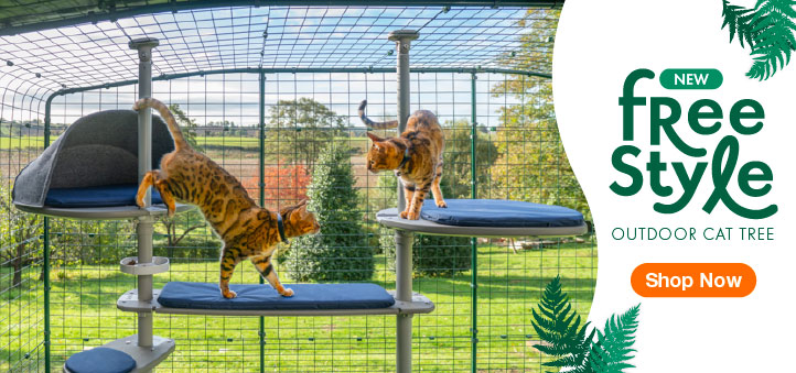 Catios Large Spacious Outdoor Cat Enclosures Omlet