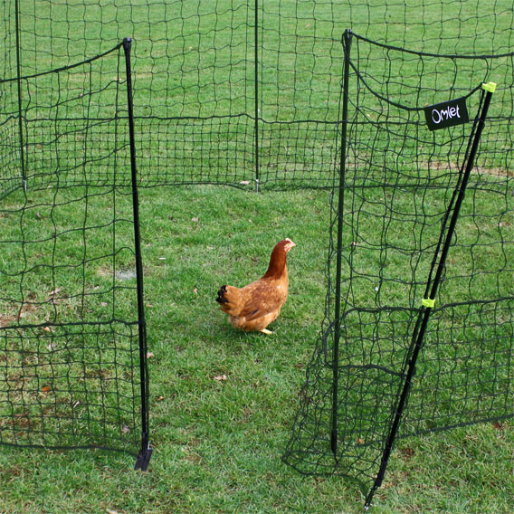 Omlet chicken fencing