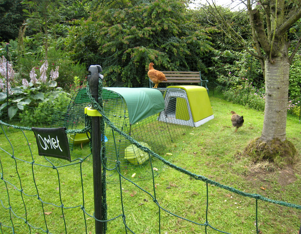 Omlet Chicken Fencing, Poultry Netting for Chickens