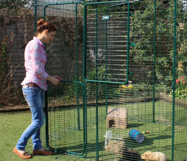 woman opening stable door or full height outdoor guinea pig run