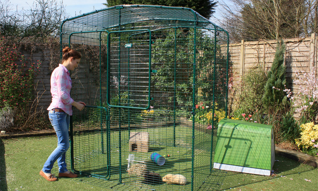 Outdoor Guinea Pig Run 2 x 2 x 1