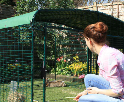 The Lo-Rise Outdoor Rabbit Run has a large door, giving easy access to your pet rabbits.