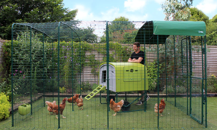 Walk In Chicken Run | Chicken Keeping Equipment | Omlet