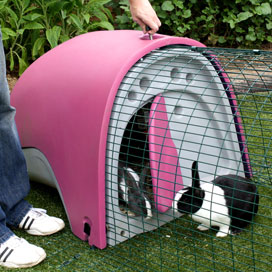 Eglu rabbit cheap