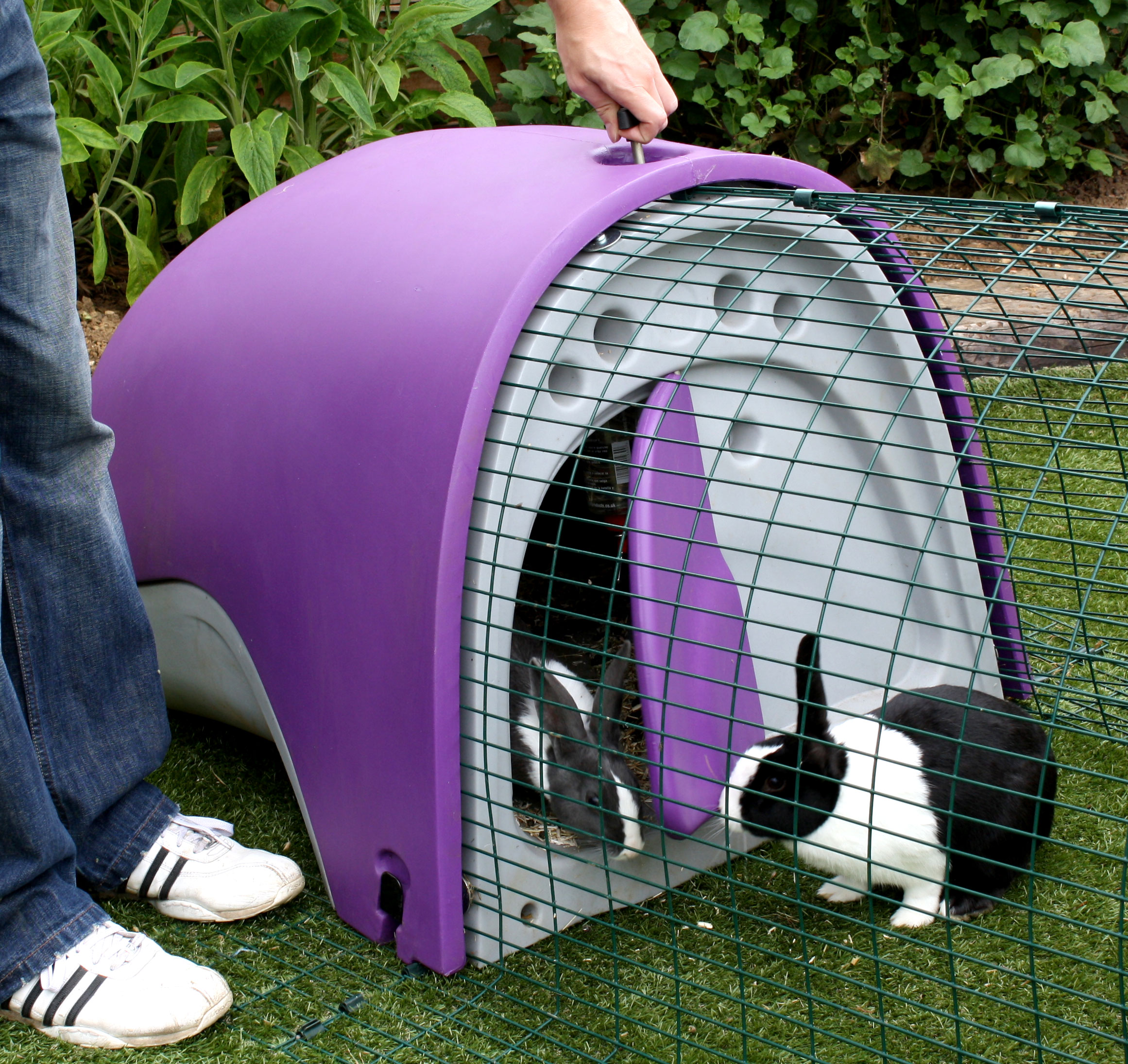 Purple deals rabbit cage