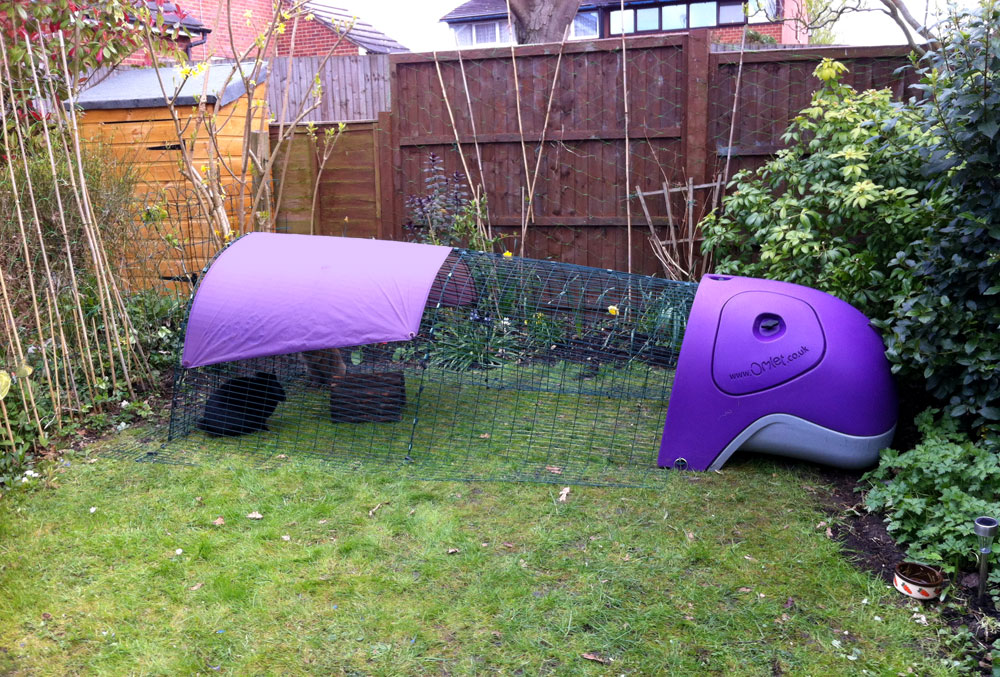 eglu rabbit hutch for sale