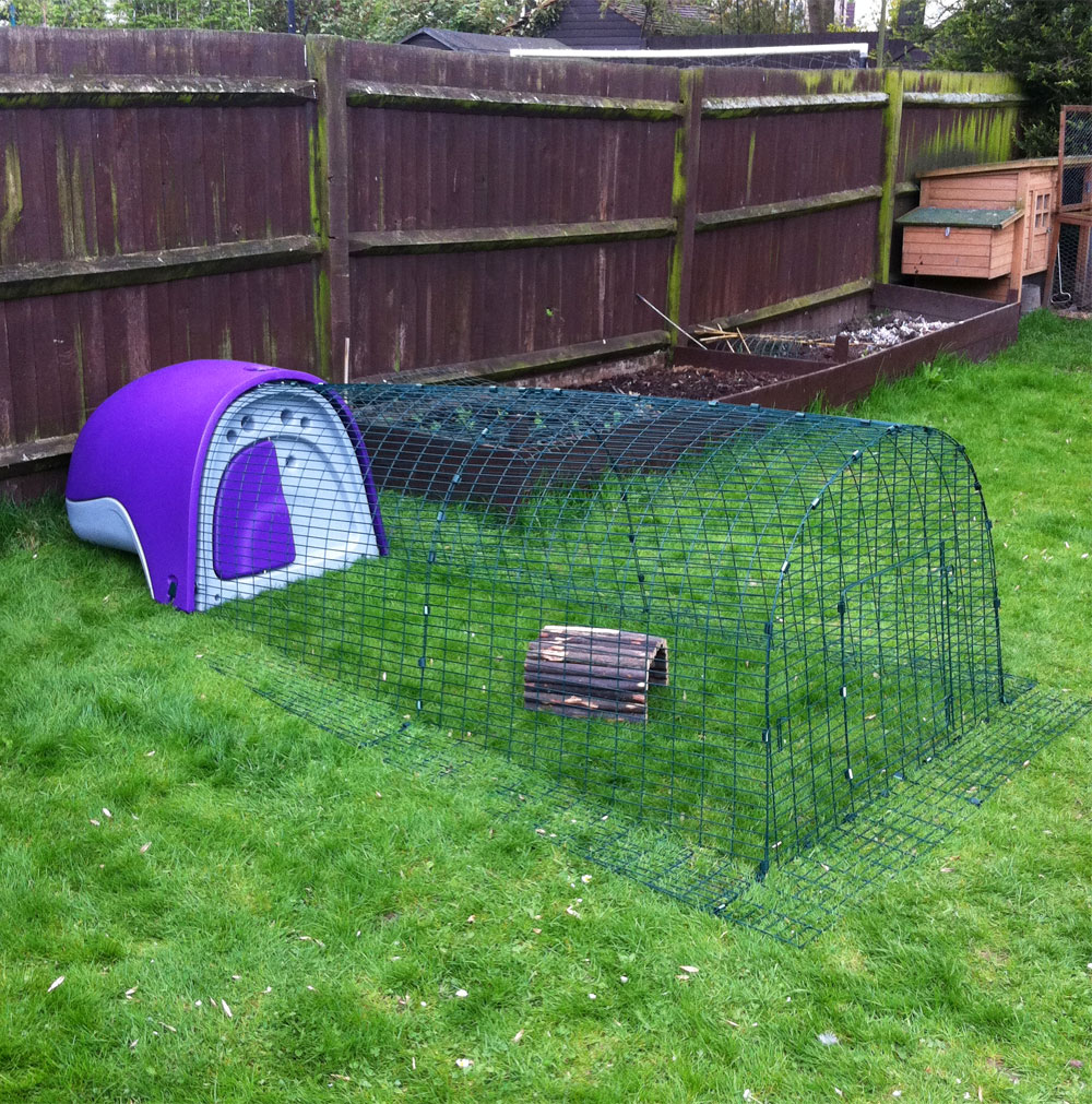 eglu rabbit hutch for sale