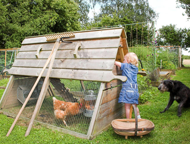 Boughton Chicken Coop | Wooden Chicken Ark for 6 Birds