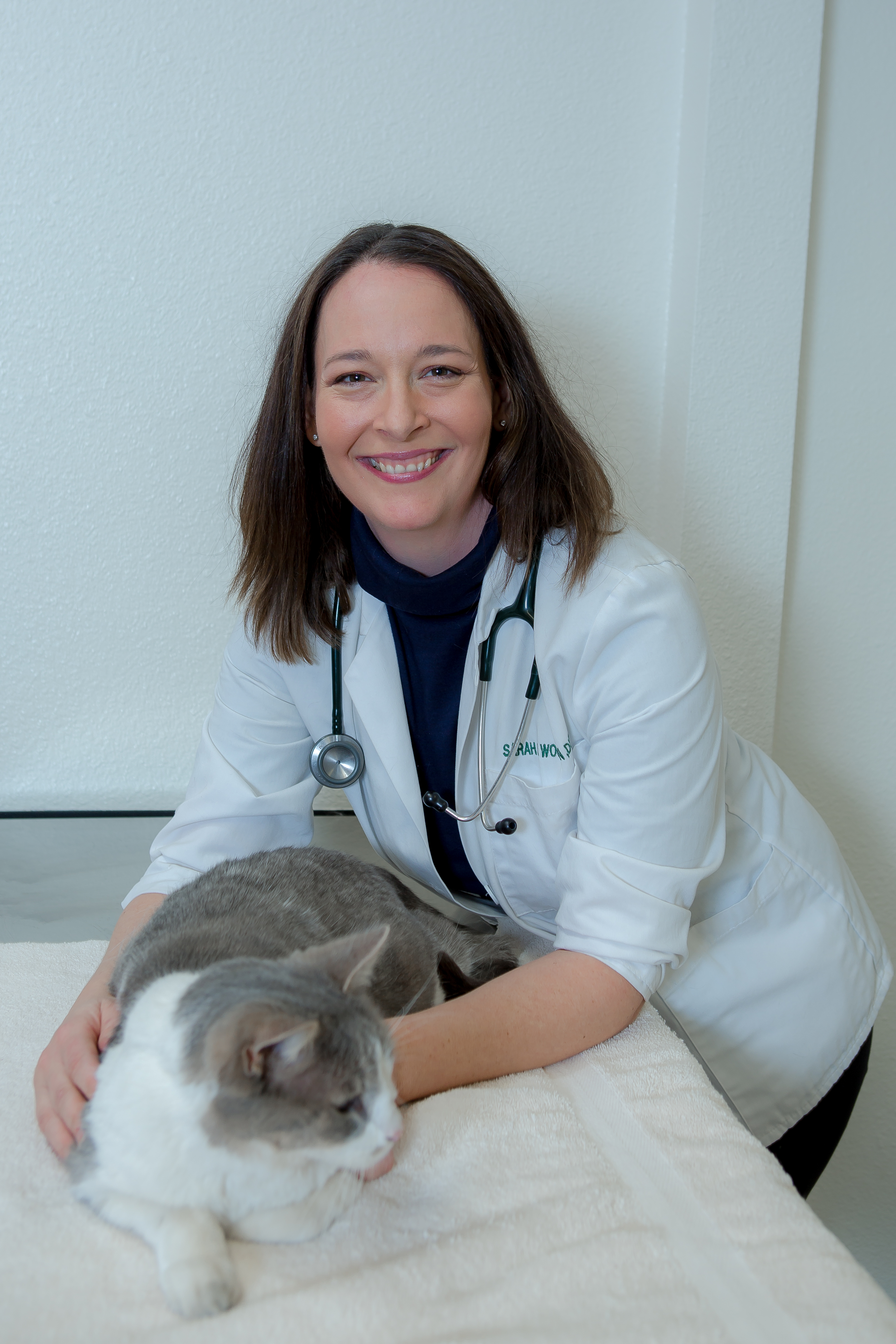 Sign up for our FREE Cat Care Webinar now