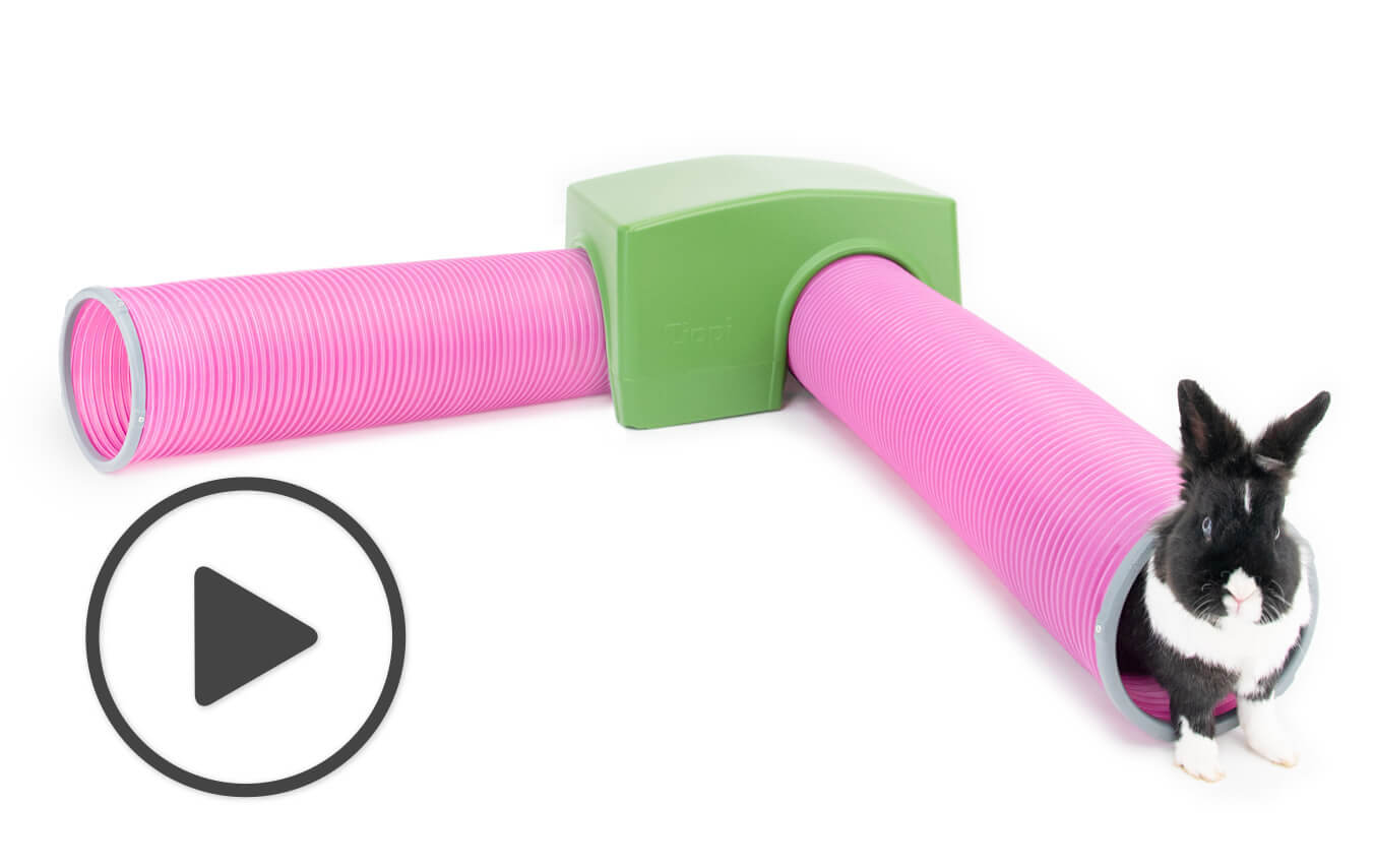 rabbit tunnel toy