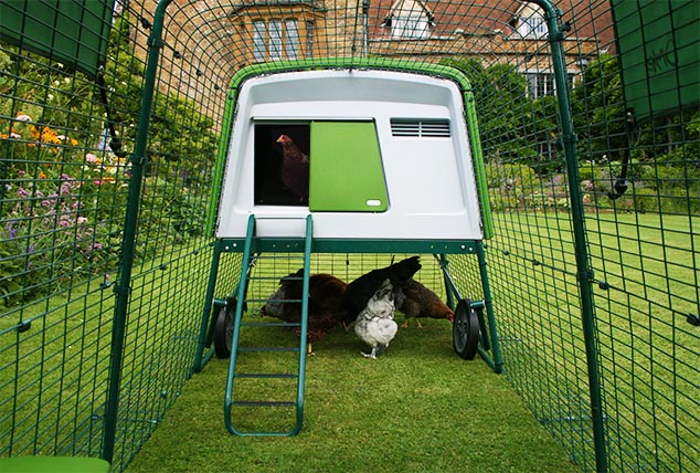 The run is made of steel weld mesh and has a unique anti-tunnel skirt to keep your hens safe