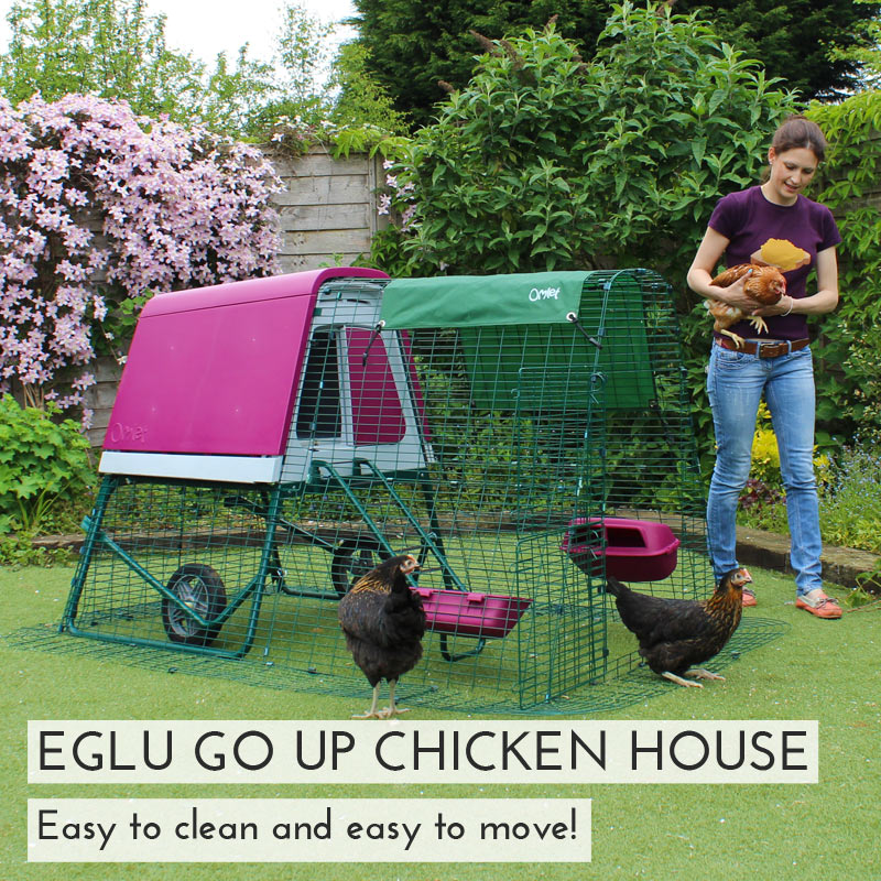 The Eglu Go Up Is An Easy To Clean Raised Chicken House on Wheels