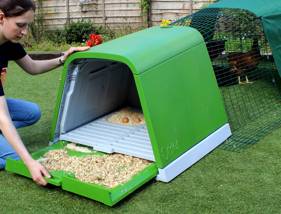 Eglu Go Chicken Coop | Chicken Keeping | Shop | Omlet UK