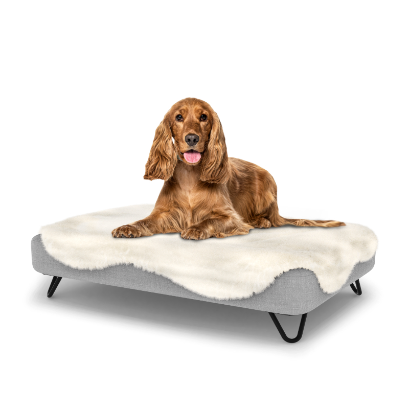 How Do You Clean A Foam Dog Bed