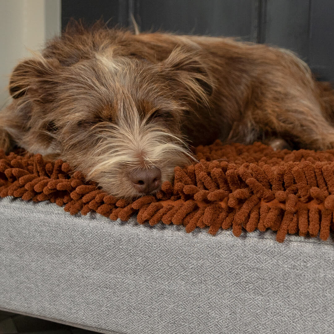 Topology Microfibre Topper Brown Small