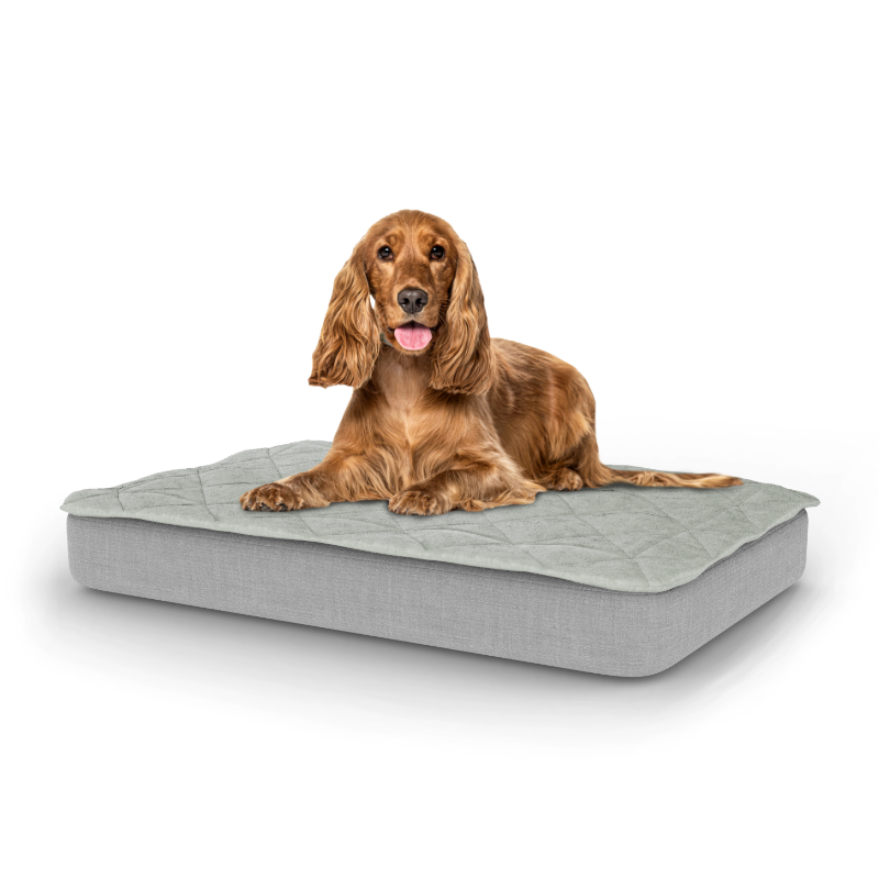 Medium Luxury Easy to clean dog bed with Quilted Topper Omlet