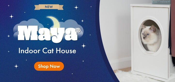 Most Intelligent Cat Breeds, Choosing The Right Cat For You, Cats