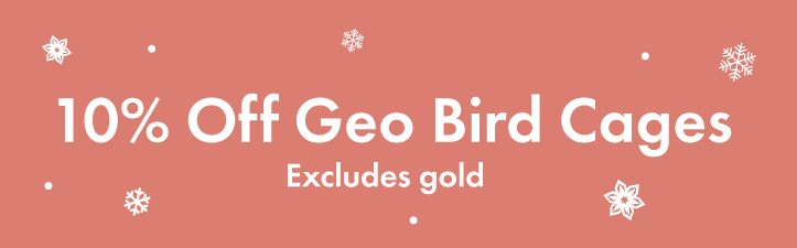 Winter Sale Banner